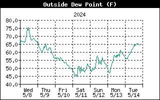 Dew Point Graph for the last Week